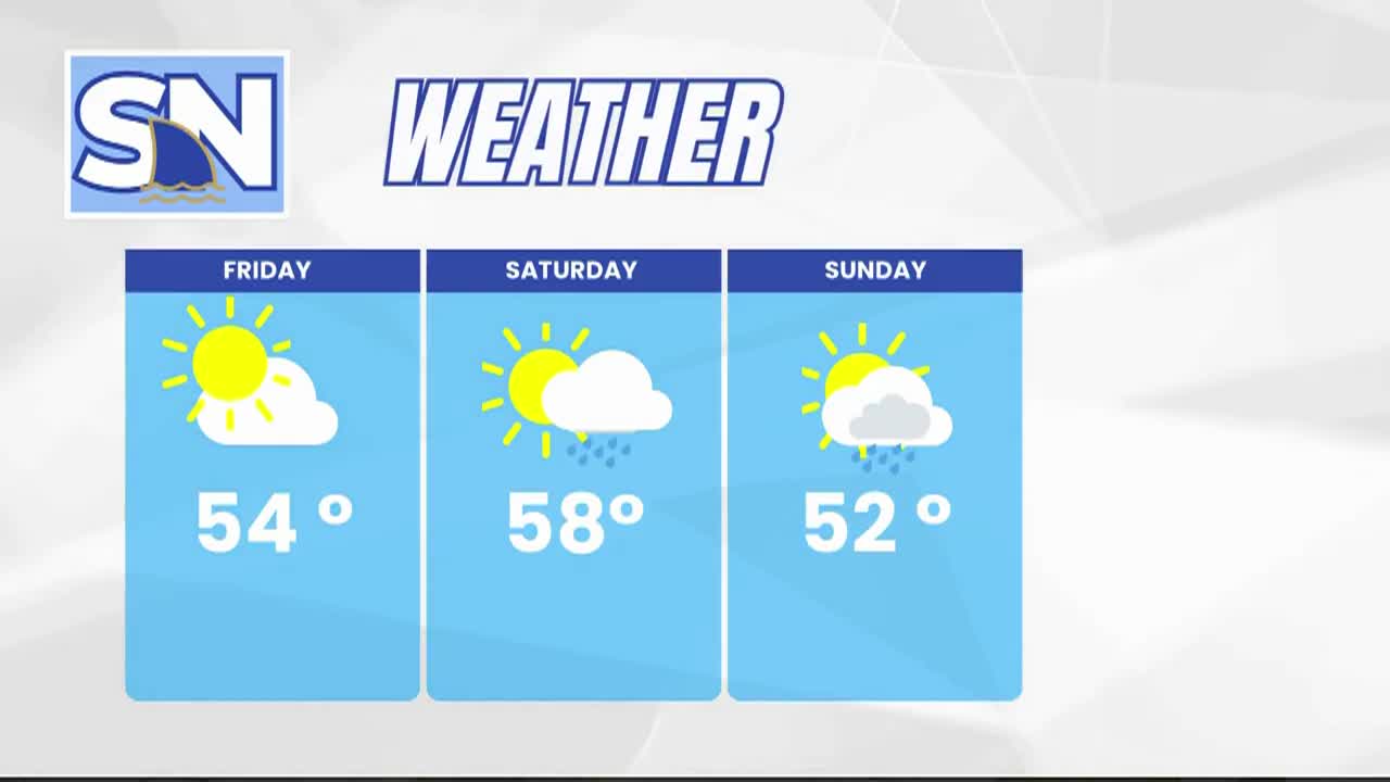 Shark News November 14 2025